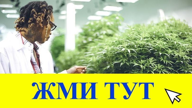 Купить наркотики в Красноармейске